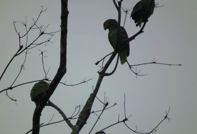 스탠다드 트리플 룸, Valle Azul