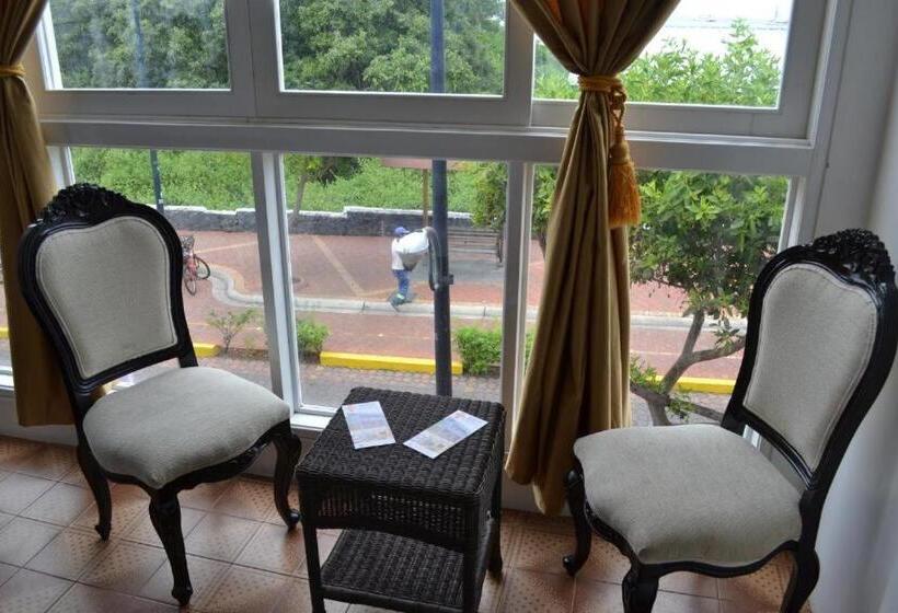 חדר סופריור, Flightless Cormorant