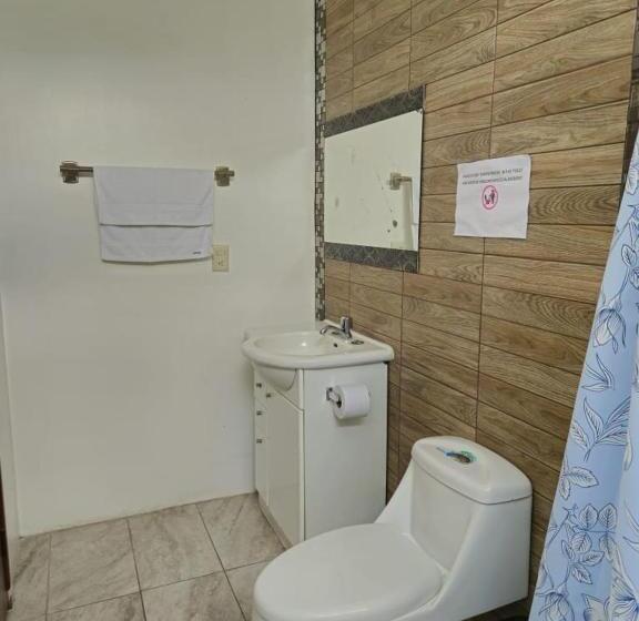 חדר סטנדרט לארבעה, Flightless Cormorant