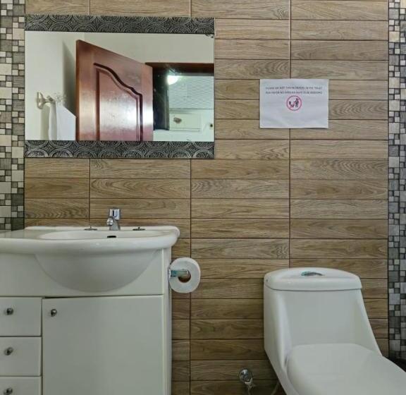 חדר סטנדרט לארבעה, Flightless Cormorant