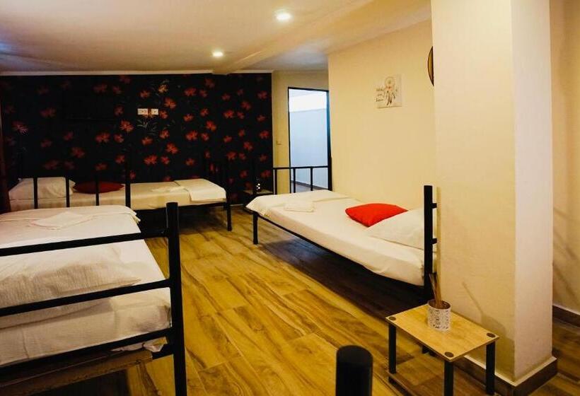 اتاق استاندارد چهار تخته, Byzanthin Hostel