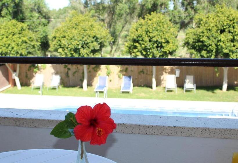 Номер Стандарт Вид на Бассейн, Hostal Alhambra