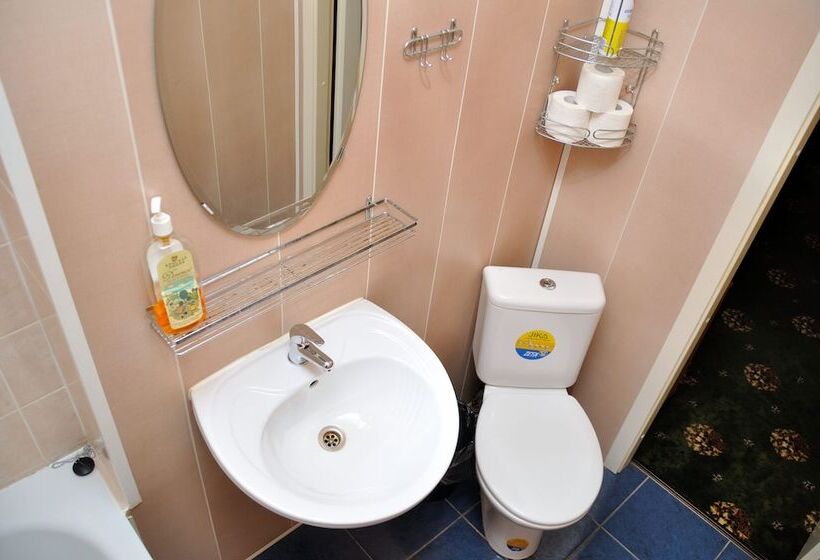 Comfort-huone, Apartments Grechesky 15