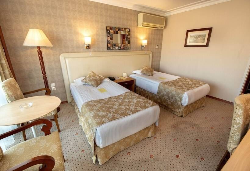 Habitació Estàndard Vista Ciutat, Izmir Palas Otel