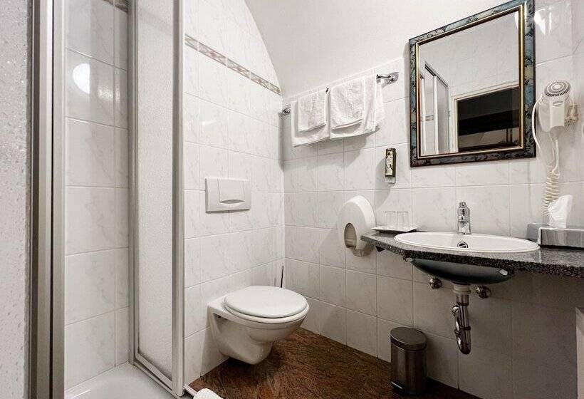 اتاق استاندارد, Garni Konvice