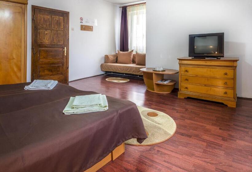 Номер Стандарт, Pension Artemis