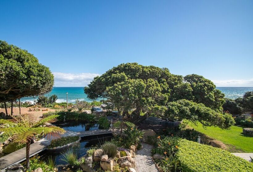 سوییت با چشم‌انداز دریا, Ocean View House