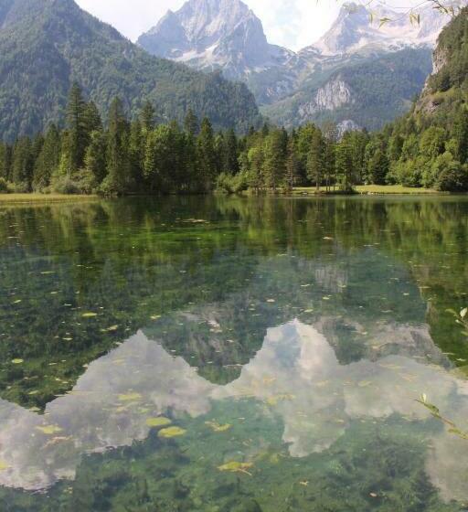 Номер Стандарт с Балконом, Pension Inge