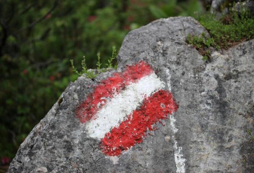 Четырехместный Номер Классик, Pension Inge