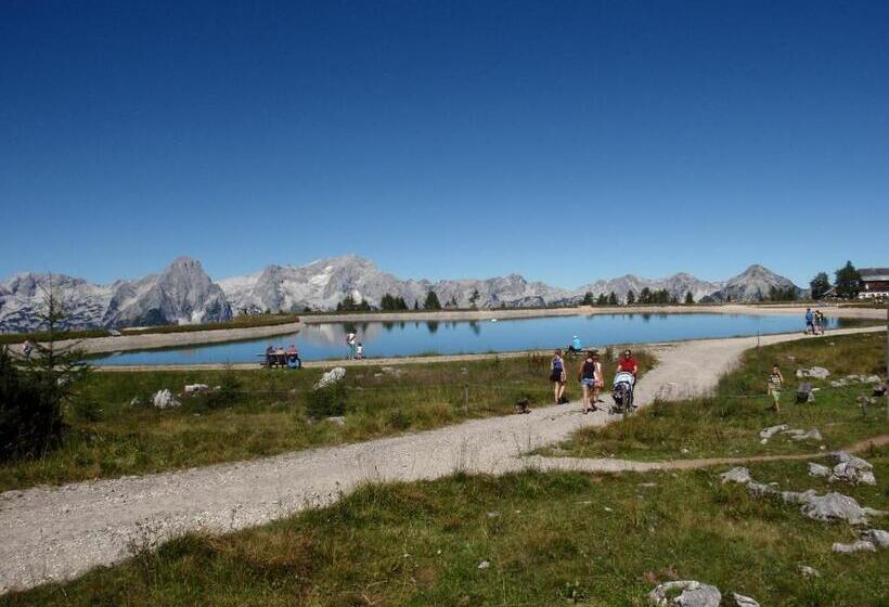 Номер Стандарт, Pension Inge