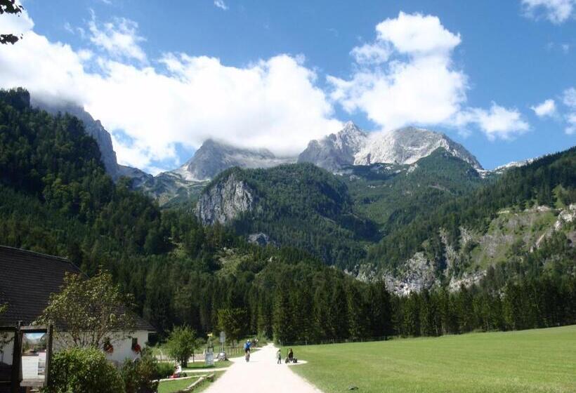 Номер Стандарт, Pension Inge