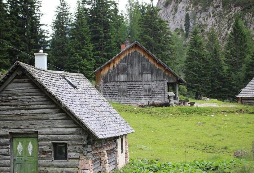 Номер Стандарт, Pension Inge