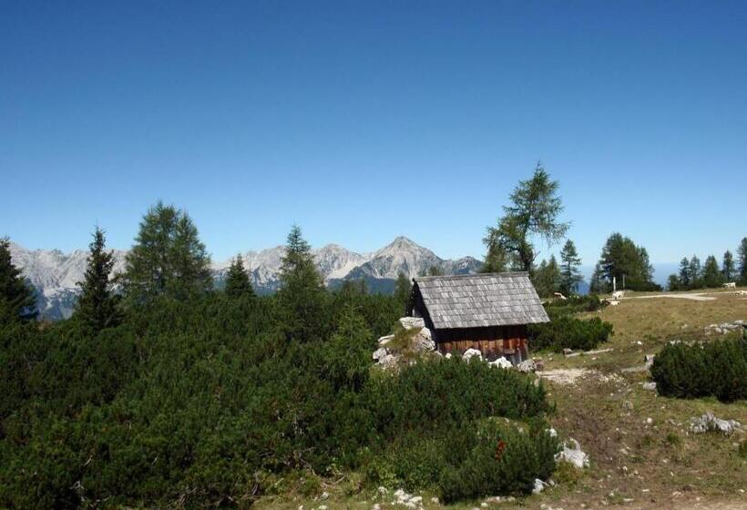 Апартаменты 1 Спальня Нижний Этаж, Pension Inge