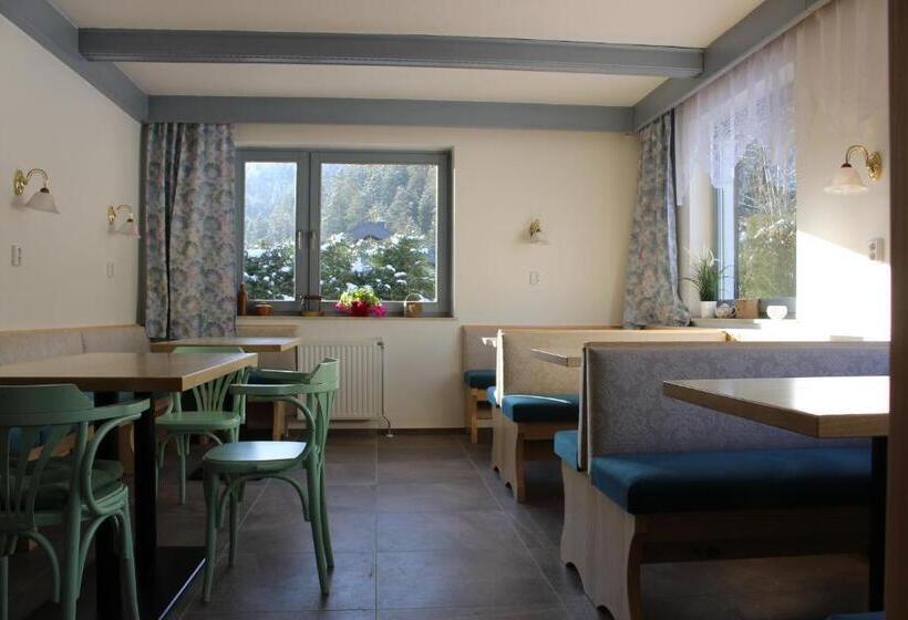 Апартаменты 1 Спальня Нижний Этаж, Pension Inge