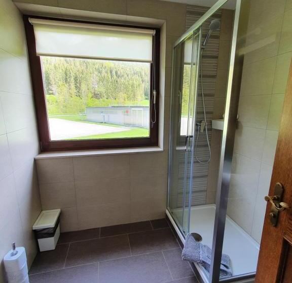 Апартаменты 1 Спальня Нижний Этаж, Pension Inge