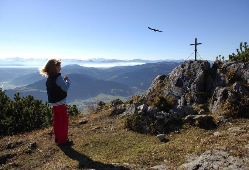 Апартаменты 1 Спальня с Балконом, Schnapperhof