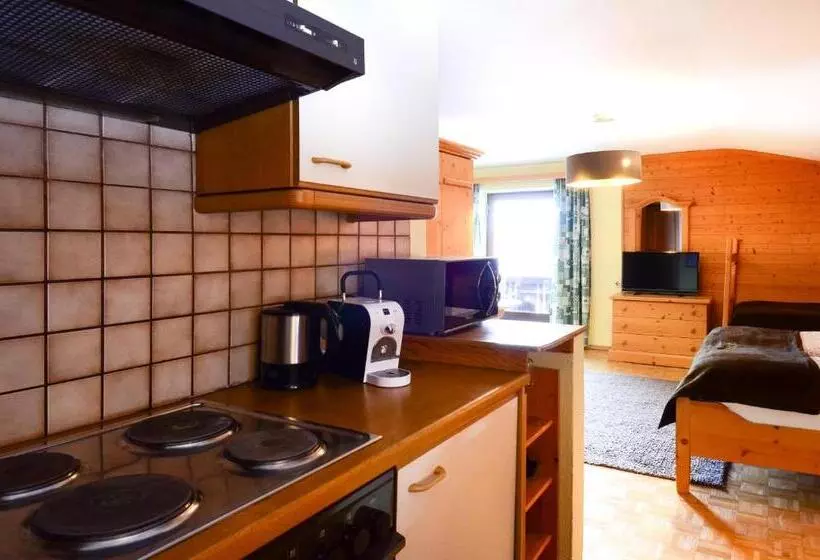 １ベッドルームアパートメント, Ferienhaus Schnitzhof