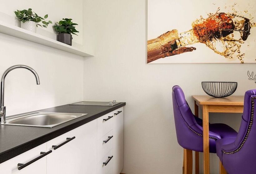 침실 1개 아파트, Amedia Plaza Wels, Trademark Collection By Wyndham