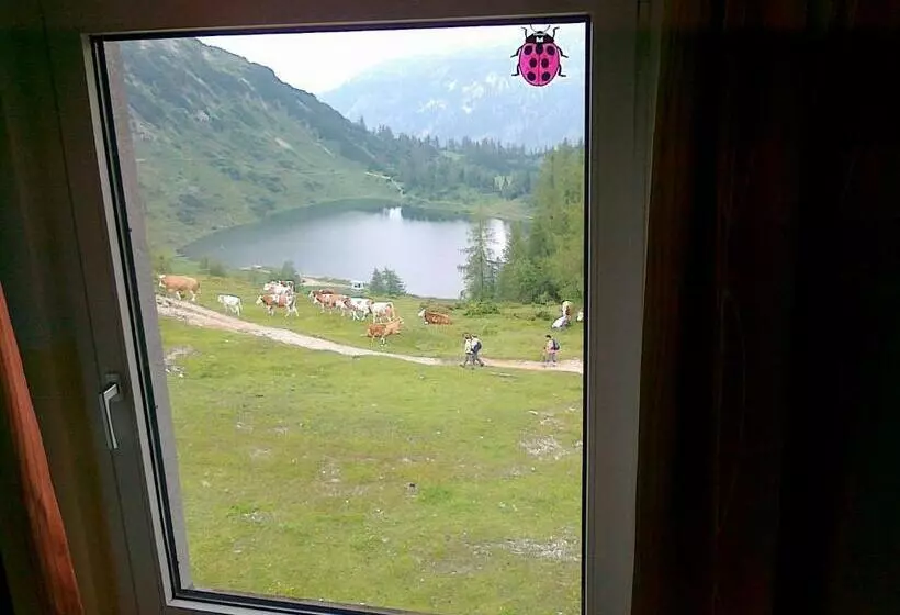 スタンダードシングルルーム, Berghof Tauplitzalm