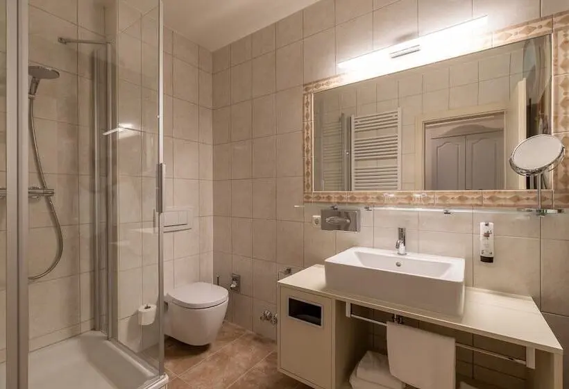 スタンダードシングルルーム, DORMERO PaHo Wels