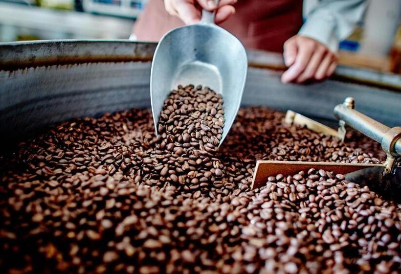 Студия Стандарт, Madar Café Restaurant Zum Fürsten