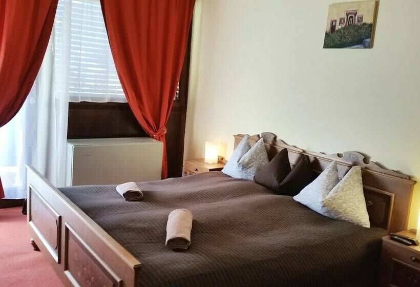 带双人床的基本房间, Ski Vital