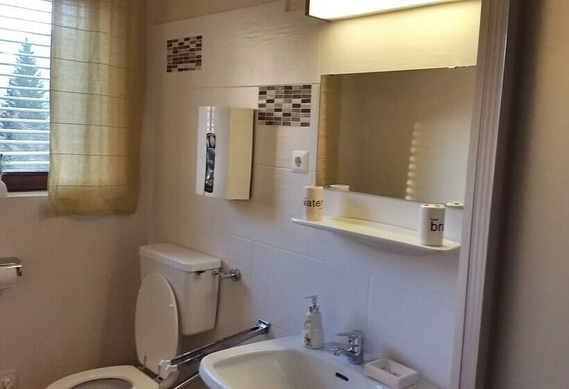 带双人床的基本房间, Ski Vital