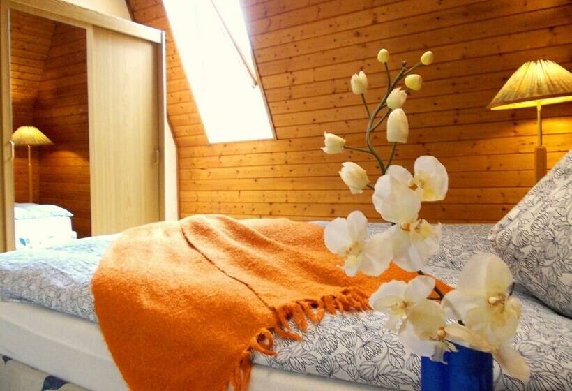 单卧家庭公寓, Ski Vital