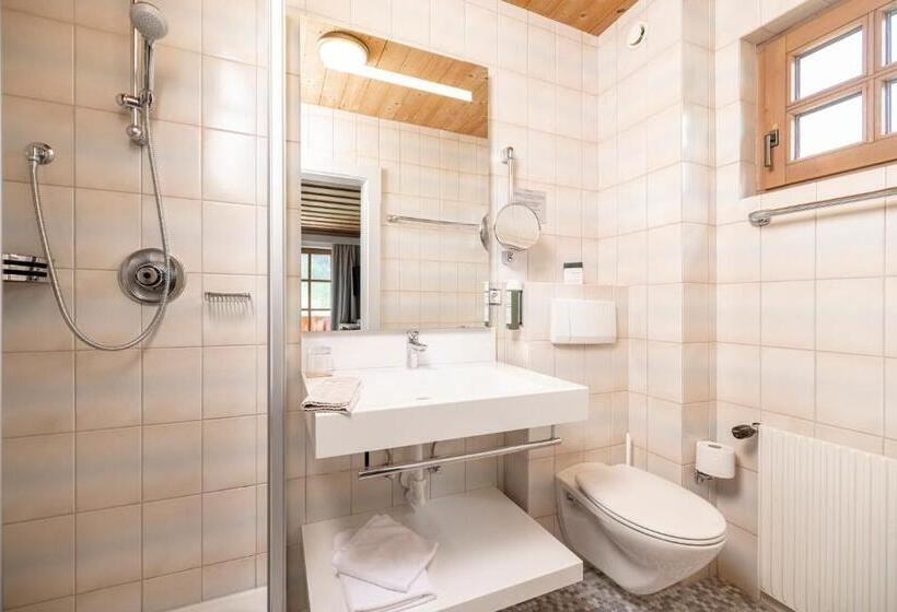 Номер Комфорт Индивидуальный, Kinder & Gletscherhotel Hintertuxerhof