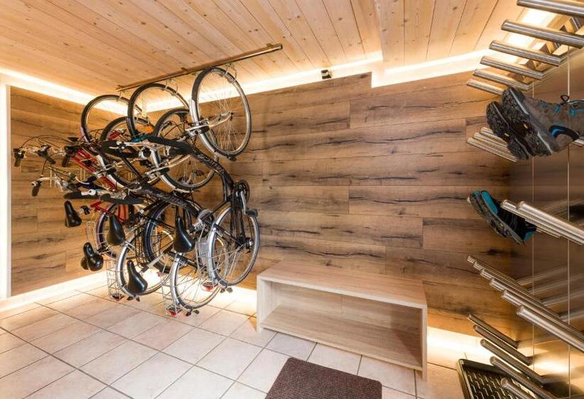 Апартаменты 1 Спальня с Видом, Landhaus Pichler