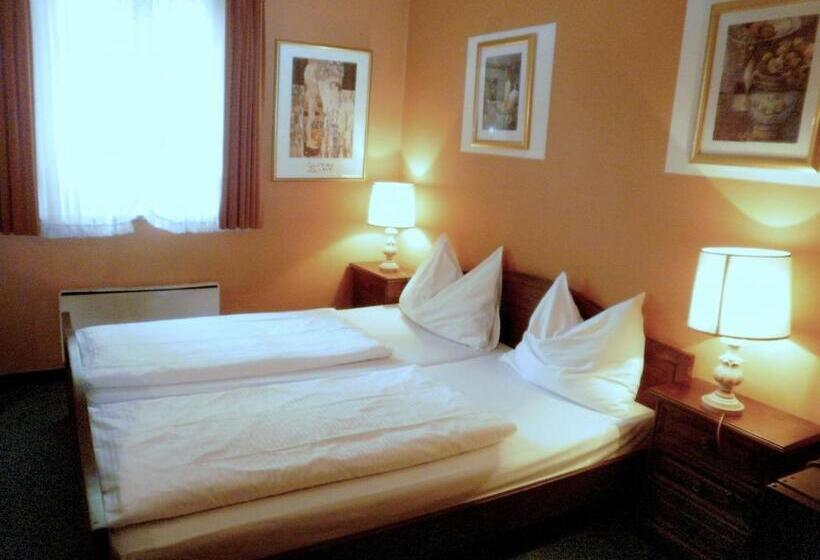 스탠다드 룸, Gästehaus Am Stadtpark