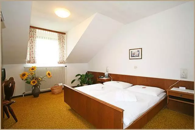 スタンダードルーム, Relax  & Wanderhotel Poppengut