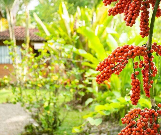 豪华小屋, Casa Marcellino Lodge