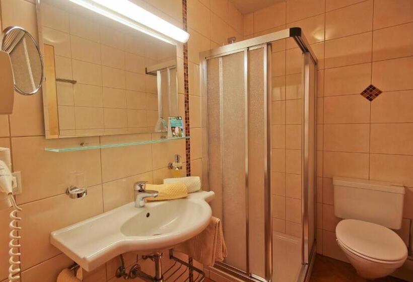 اتاق استاندارد, Ladestatthof