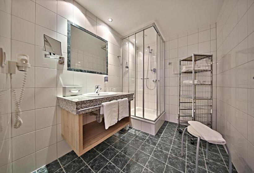 Апартаменты Deluxe 1 Спальня, Pension Geiger