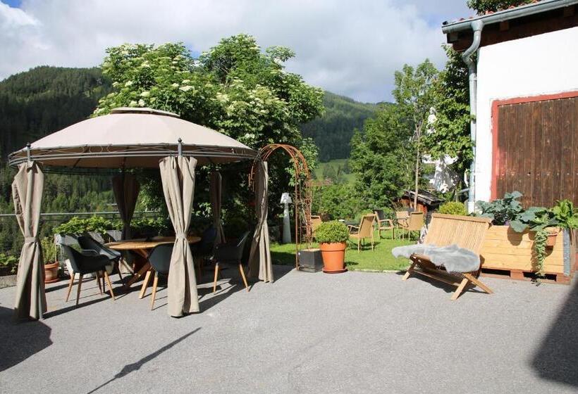 Номер Deluxe, Pension Geiger