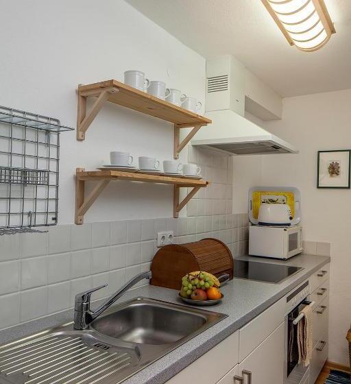 Apartament 2 Dormitoris amb Terrassa, Pension Hinterseer