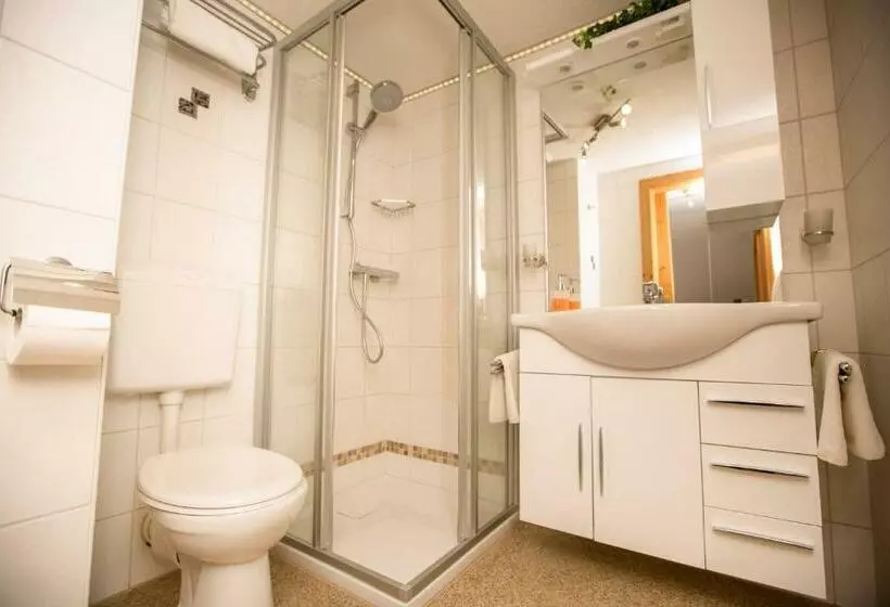 Deluxe-huone, Pension Knoll