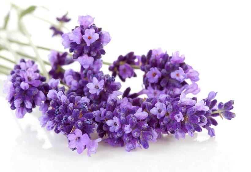 标准间, Geniesserhotel Alpin Gmbh