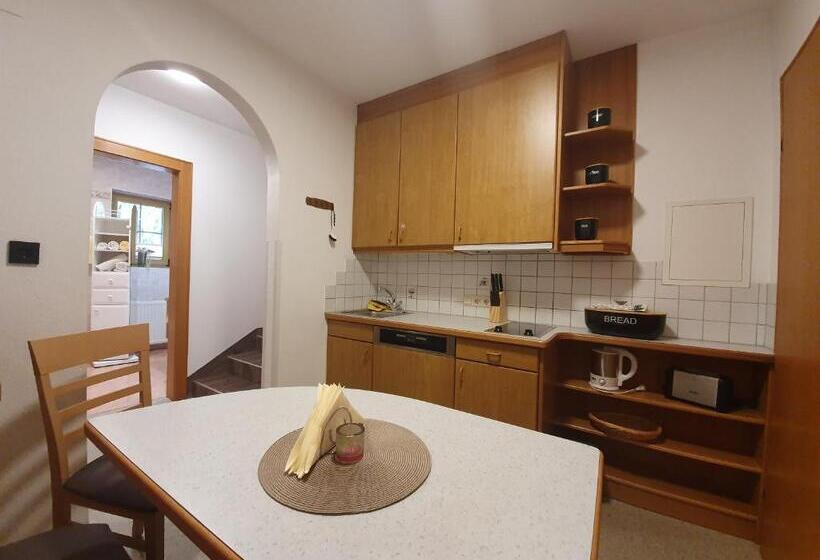 דירה בת חדר שינה 1 עם נוף, Apart Haus Alpenhof