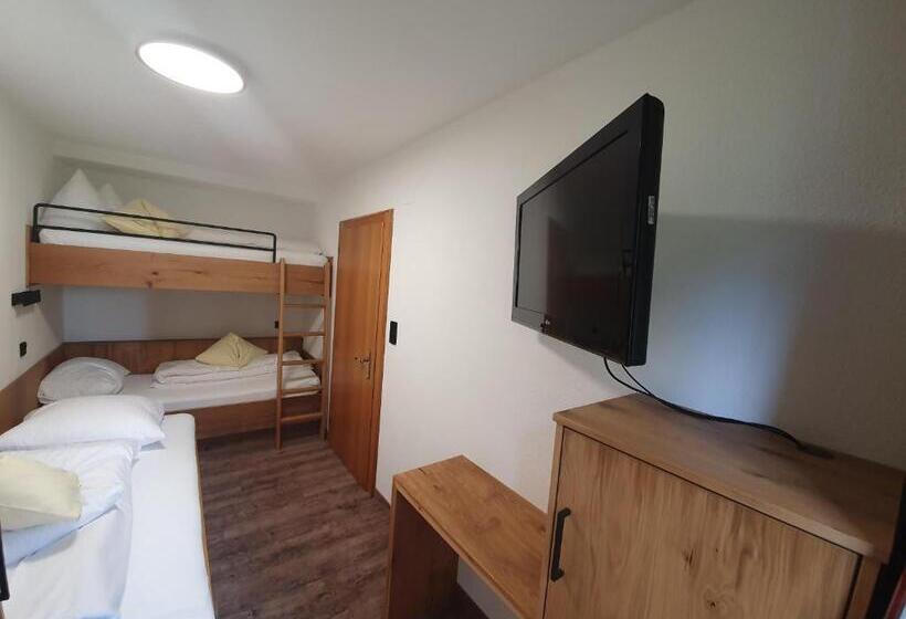 带1个卧室带观景的公寓, Apart Haus Alpenhof