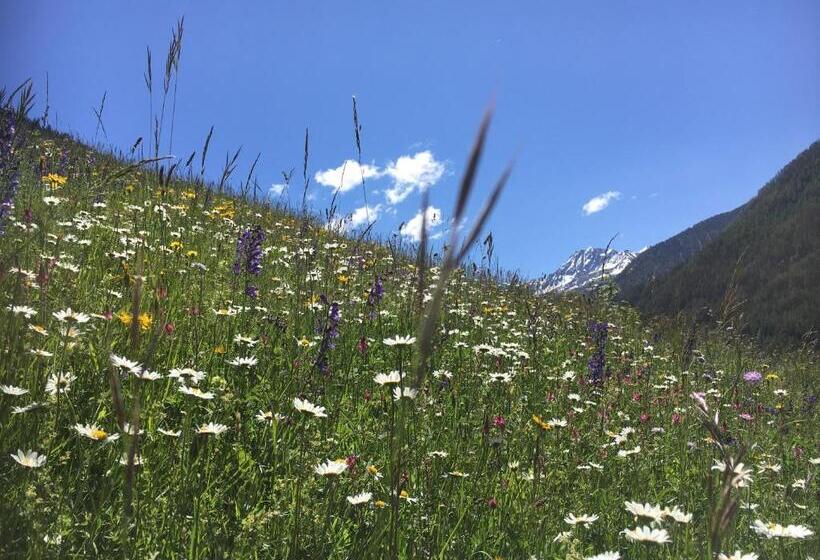 标准间带阳台, Haus Schuchter