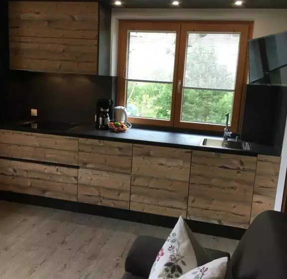 バルコニー付き１ベッドルームアパートメント, Haus Schuchter