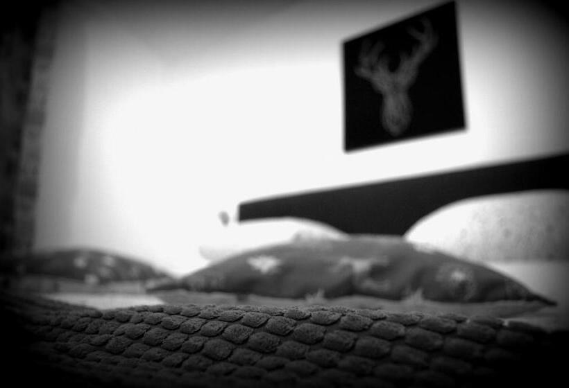 غرفة أساسية, Haus Susanne