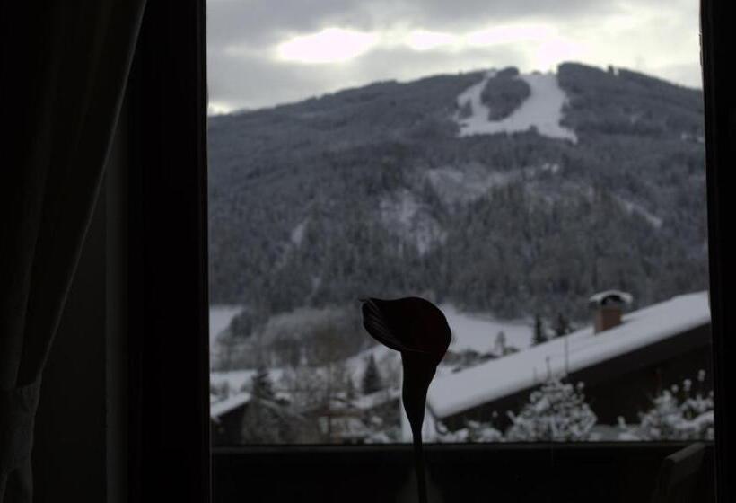 غرفة قياسية مزوَّدة بشُرفة, Haus Susanne