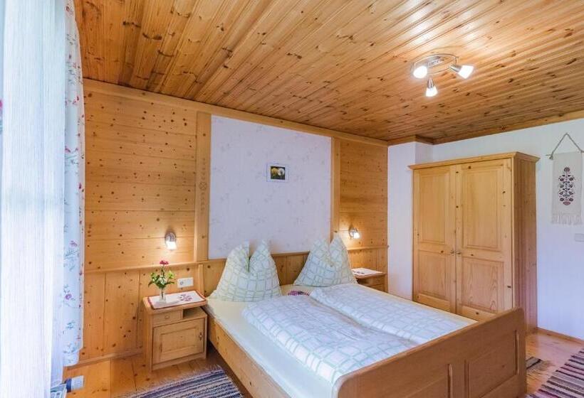 غرفة قياسية مطلة على الجبل, Stabentheiner Hof