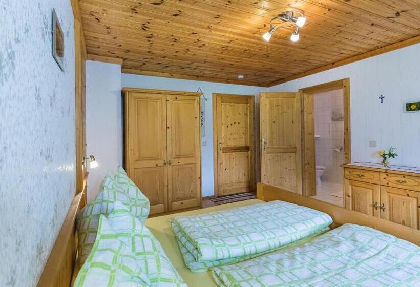 غرفة قياسية مطلة على الجبل, Stabentheiner Hof