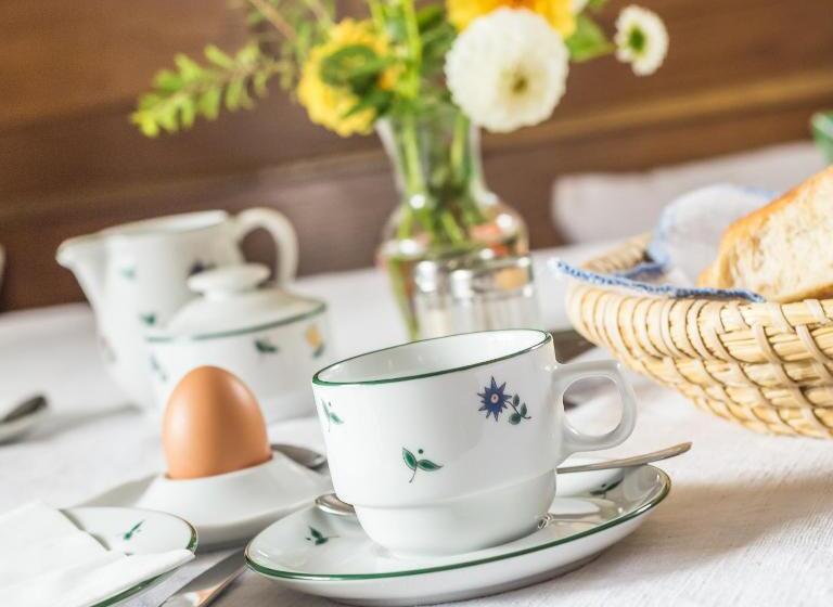 غرفة قياسية مطلة على الجبل, Stabentheiner Hof