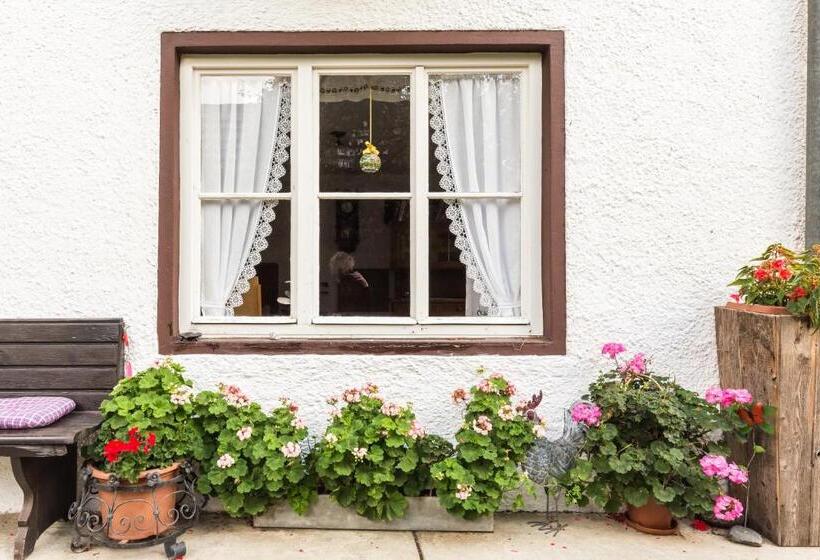 غرفة قياسية مطلة على الجبل, Stabentheiner Hof