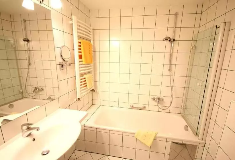 اتاق استاندارد یک نفره, Carinthia Stadt